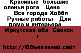 Красивые  большие оленьи рога › Цена ­ 3 000 - Все города Хобби. Ручные работы » Для дома и интерьера   . Иркутская обл.,Саянск г.